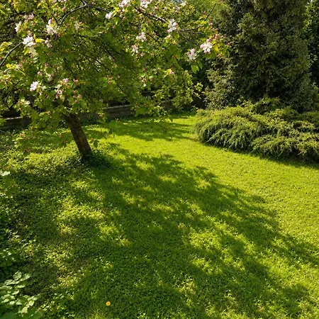 Maironio 23 Apartman Palanga